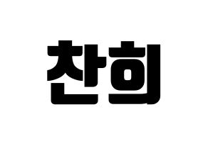 KPOP THE BOYZ(더보이즈、ザ・ボーイズ) 뉴 (ニュー) コンサート用　応援ボード・うちわ　韓国語/ハングル文字型紙 通常