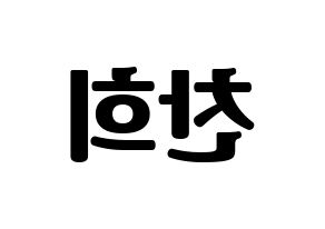 KPOP THE BOYZ(더보이즈、ザ・ボーイズ) 뉴 (ニュー) コンサート用　応援ボード・うちわ　韓国語/ハングル文字型紙 左右反転
