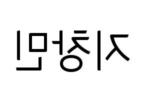 KPOP THE BOYZ(더보이즈、ザ・ボーイズ) 큐 (キュー) コンサート用　応援ボード・うちわ　韓国語/ハングル文字型紙 左右反転