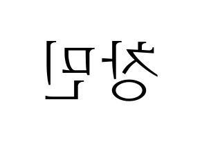 KPOP THE BOYZ(더보이즈、ザ・ボーイズ) 큐 (キュー) 応援ボード・うちわ　韓国語/ハングル文字型紙 左右反転