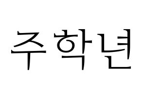 KPOP THE BOYZ(더보이즈、ザ・ボーイズ) 주학년 (チュハンニョン) 応援ボード・うちわ　韓国語/ハングル文字型紙 通常