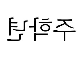 KPOP THE BOYZ(더보이즈、ザ・ボーイズ) 주학년 (チュハンニョン) 応援ボード・うちわ　韓国語/ハングル文字型紙 左右反転