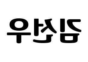 KPOP THE BOYZ(더보이즈、ザ・ボーイズ) 선우 (ソヌ) コンサート用　応援ボード・うちわ　韓国語/ハングル文字型紙 左右反転