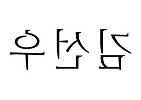 KPOP THE BOYZ(더보이즈、ザ・ボーイズ) 선우 (ソヌ) 応援ボード・うちわ　韓国語/ハングル文字型紙 左右反転