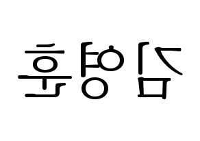 KPOP THE BOYZ(더보이즈、ザ・ボーイズ) 영훈 (ヨンフン) 応援ボード・うちわ　韓国語/ハングル文字型紙 左右反転