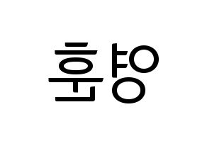 KPOP THE BOYZ(더보이즈、ザ・ボーイズ) 영훈 (ヨンフン) コンサート用　応援ボード・うちわ　韓国語/ハングル文字型紙 左右反転