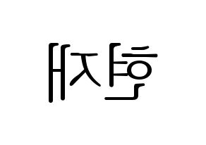 KPOP THE BOYZ(더보이즈、ザ・ボーイズ) 현재 (ヒョンジェ) 応援ボード・うちわ　韓国語/ハングル文字型紙 左右反転