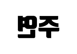 KPOP THE BOYZ(더보이즈、ザ・ボーイズ) 주연 (ジュヨン) コンサート用　応援ボード・うちわ　韓国語/ハングル文字型紙 左右反転