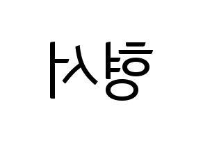 KPOP THE BOYZ(더보이즈、ザ・ボーイズ) 케빈 (ケビン) コンサート用　応援ボード・うちわ　韓国語/ハングル文字型紙 左右反転