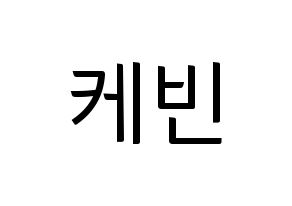 KPOP THE BOYZ(더보이즈、ザ・ボーイズ) 케빈 (ケビン) コンサート用　応援ボード・うちわ　韓国語/ハングル文字型紙 通常