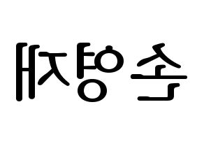 KPOP THE BOYZ(더보이즈、ザ・ボーイズ) 에릭 (エリック) プリント用応援ボード型紙、うちわ型紙　韓国語/ハングル文字型紙 左右反転