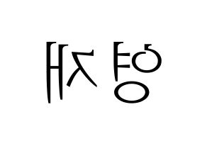 KPOP THE BOYZ(더보이즈、ザ・ボーイズ) 에릭 (エリック) 応援ボード・うちわ　韓国語/ハングル文字型紙 左右反転