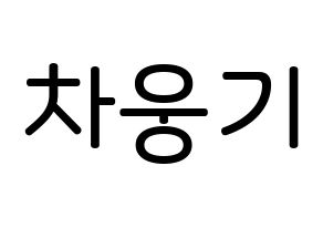 KPOP TOO(티오오、ティーオーオー) 웅기 (チャ･ウンギ, ウンギ) 無料サイン会用、イベント会用応援ボード型紙 通常