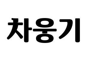 KPOP TOO(티오오、ティーオーオー) 웅기 (ウンギ) コンサート用　応援ボード・うちわ　韓国語/ハングル文字型紙 通常