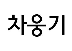 KPOP TOO(티오오、ティーオーオー) 웅기 (チャ･ウンギ, ウンギ) 無料サイン会用、イベント会用応援ボード型紙 通常