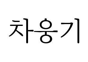 KPOP TOO(티오오、ティーオーオー) 웅기 (ウンギ) 応援ボード・うちわ　韓国語/ハングル文字型紙 通常