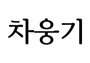 KPOP TOO(티오오、ティーオーオー) 웅기 (ウンギ) プリント用応援ボード型紙、うちわ型紙　韓国語/ハングル文字型紙 通常