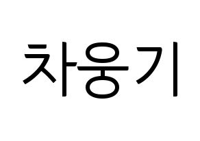 KPOP TOO(티오오、ティーオーオー) 웅기 (ウンギ) コンサート用　応援ボード・うちわ　韓国語/ハングル文字型紙 通常