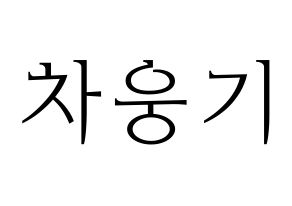 KPOP TOO(티오오、ティーオーオー) 웅기 (ウンギ) 応援ボード・うちわ　韓国語/ハングル文字型紙 通常