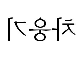 KPOP TOO(티오오、ティーオーオー) 웅기 (ウンギ) 応援ボード・うちわ　韓国語/ハングル文字型紙 左右反転