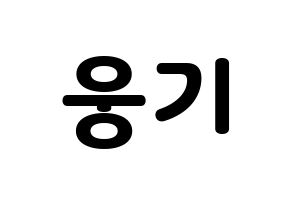 KPOP TOO(티오오、ティーオーオー) 웅기 (ウンギ) 応援ボード・うちわ　韓国語/ハングル文字型紙 通常