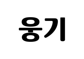 KPOP TOO(티오오、ティーオーオー) 웅기 (ウンギ) コンサート用　応援ボード・うちわ　韓国語/ハングル文字型紙 通常