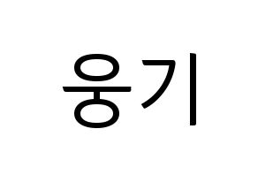 KPOP TOO(티오오、ティーオーオー) 웅기 (ウンギ) コンサート用　応援ボード・うちわ　韓国語/ハングル文字型紙 通常