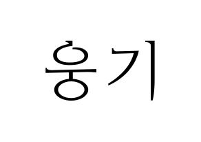 KPOP TOO(티오오、ティーオーオー) 웅기 (ウンギ) 応援ボード・うちわ　韓国語/ハングル文字型紙 通常