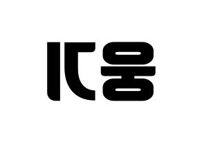 KPOP TOO(티오오、ティーオーオー) 웅기 (ウンギ) コンサート用　応援ボード・うちわ　韓国語/ハングル文字型紙 左右反転