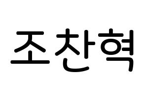 KPOP TOO(티오오、ティーオーオー) 찬 (チョ･チャニョク, チャン) 無料サイン会用、イベント会用応援ボード型紙 通常