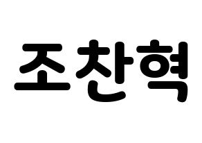 KPOP TOO(티오오、ティーオーオー) 찬 (チャン) 応援ボード・うちわ　韓国語/ハングル文字型紙 通常