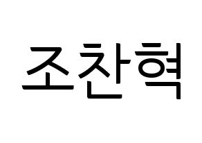 KPOP TOO(티오오、ティーオーオー) 찬 (チャン) コンサート用　応援ボード・うちわ　韓国語/ハングル文字型紙 通常