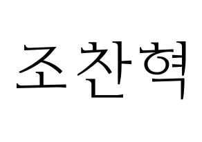 KPOP TOO(티오오、ティーオーオー) 찬 (チャン) 応援ボード・うちわ　韓国語/ハングル文字型紙 通常