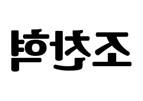 KPOP TOO(티오오、ティーオーオー) 찬 (チャン) コンサート用　応援ボード・うちわ　韓国語/ハングル文字型紙 左右反転