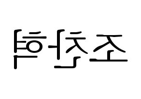 KPOP TOO(티오오、ティーオーオー) 찬 (チャン) 応援ボード・うちわ　韓国語/ハングル文字型紙 左右反転