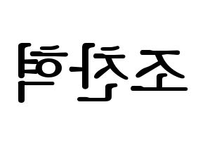 KPOP TOO(티오오、ティーオーオー) 찬 (チャン) プリント用応援ボード型紙、うちわ型紙　韓国語/ハングル文字型紙 左右反転