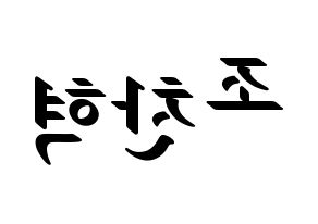 KPOP TOO(티오오、ティーオーオー) 찬 (チャン) 応援ボード ハングル 型紙  左右反転