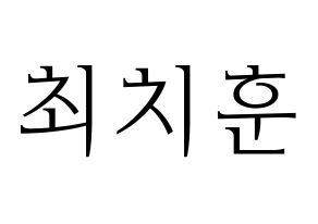 KPOP TOO(티오오、ティーオーオー) 치훈 (チフン) 応援ボード・うちわ　韓国語/ハングル文字型紙 通常