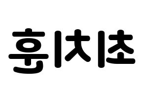 KPOP TOO(티오오、ティーオーオー) 치훈 (チフン) 応援ボード・うちわ　韓国語/ハングル文字型紙 左右反転