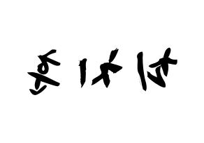 KPOP TOO(티오오、ティーオーオー) 치훈 (チェ･チフン, チフン) 応援ボード、うちわ無料型紙、応援グッズ 左右反転