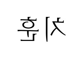 KPOP TOO(티오오、ティーオーオー) 치훈 (チフン) 応援ボード・うちわ　韓国語/ハングル文字型紙 左右反転