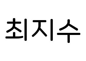 KPOP TOO(티오오、ティーオーオー) 지수 (チェ･ジス, ジス) 無料サイン会用、イベント会用応援ボード型紙 通常