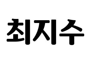 KPOP TOO(티오오、ティーオーオー) 지수 (ジス) コンサート用　応援ボード・うちわ　韓国語/ハングル文字型紙 通常