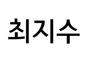 KPOP TOO(티오오、ティーオーオー) 지수 (チェ･ジス, ジス) 無料サイン会用、イベント会用応援ボード型紙 通常