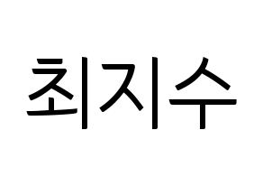 KPOP TOO(티오오、ティーオーオー) 지수 (ジス) コンサート用　応援ボード・うちわ　韓国語/ハングル文字型紙 通常