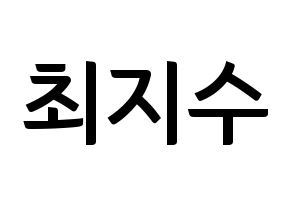 KPOP TOO(티오오、ティーオーオー) 지수 (ジス) k-pop アイドル名前 ファンサボード 型紙 通常