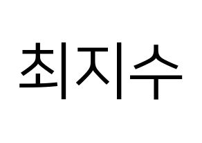 KPOP TOO(티오오、ティーオーオー) 지수 (ジス) プリント用応援ボード型紙、うちわ型紙　韓国語/ハングル文字型紙 通常