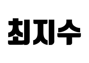 KPOP TOO(티오오、ティーオーオー) 지수 (ジス) コンサート用　応援ボード・うちわ　韓国語/ハングル文字型紙 通常
