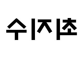 KPOP TOO(티오오、ティーオーオー) 지수 (チェ･ジス, ジス) 応援ボード、うちわ無料型紙、応援グッズ 左右反転