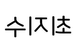 KPOP TOO(티오오、ティーオーオー) 지수 (チェ･ジス, ジス) 無料サイン会用、イベント会用応援ボード型紙 左右反転